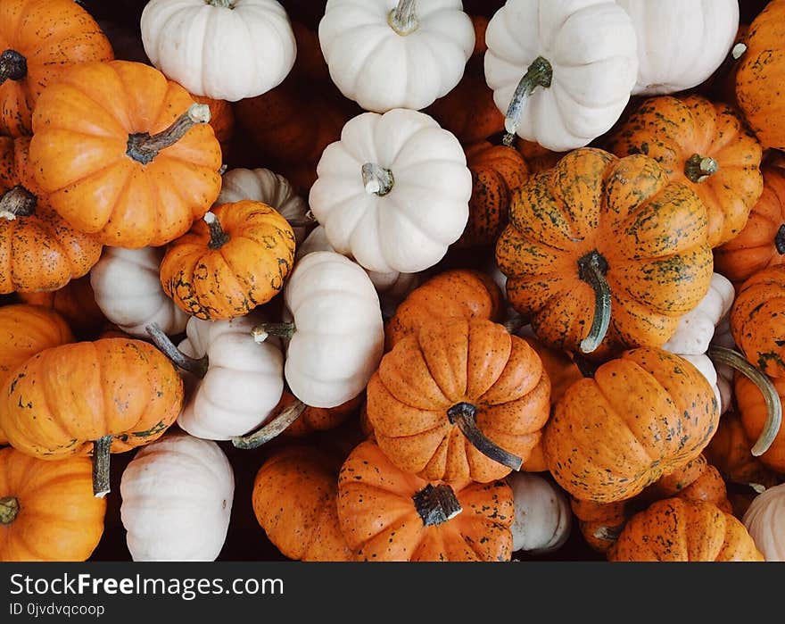 Vegetable, Winter Squash, Cucurbita, Pumpkin