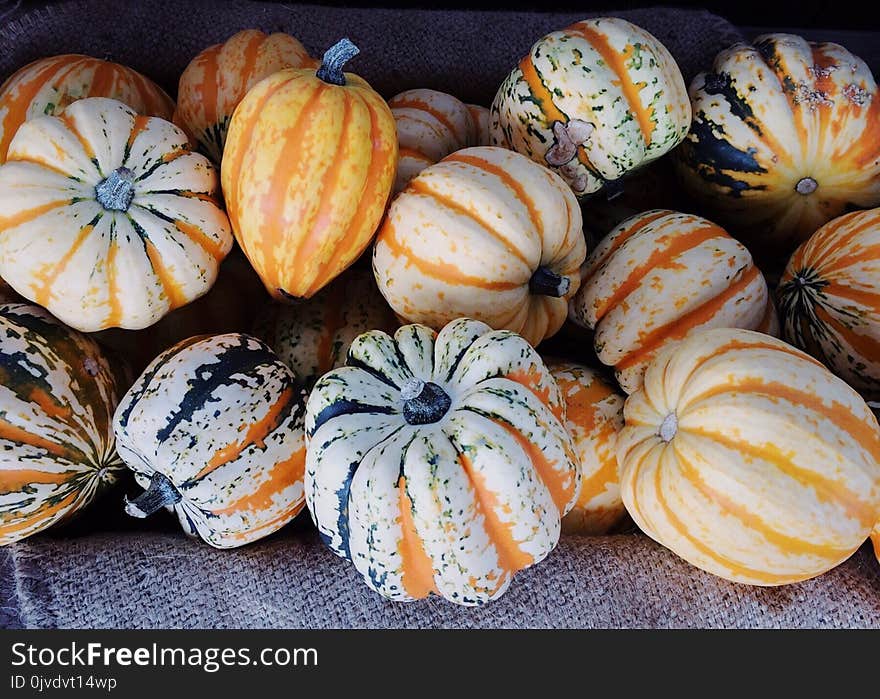 Winter Squash, Cucurbita, Vegetable, Gourd