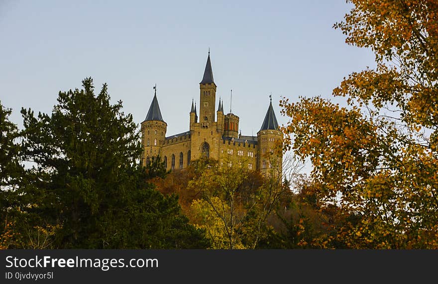 Sky, Leaf, Tree, Spire