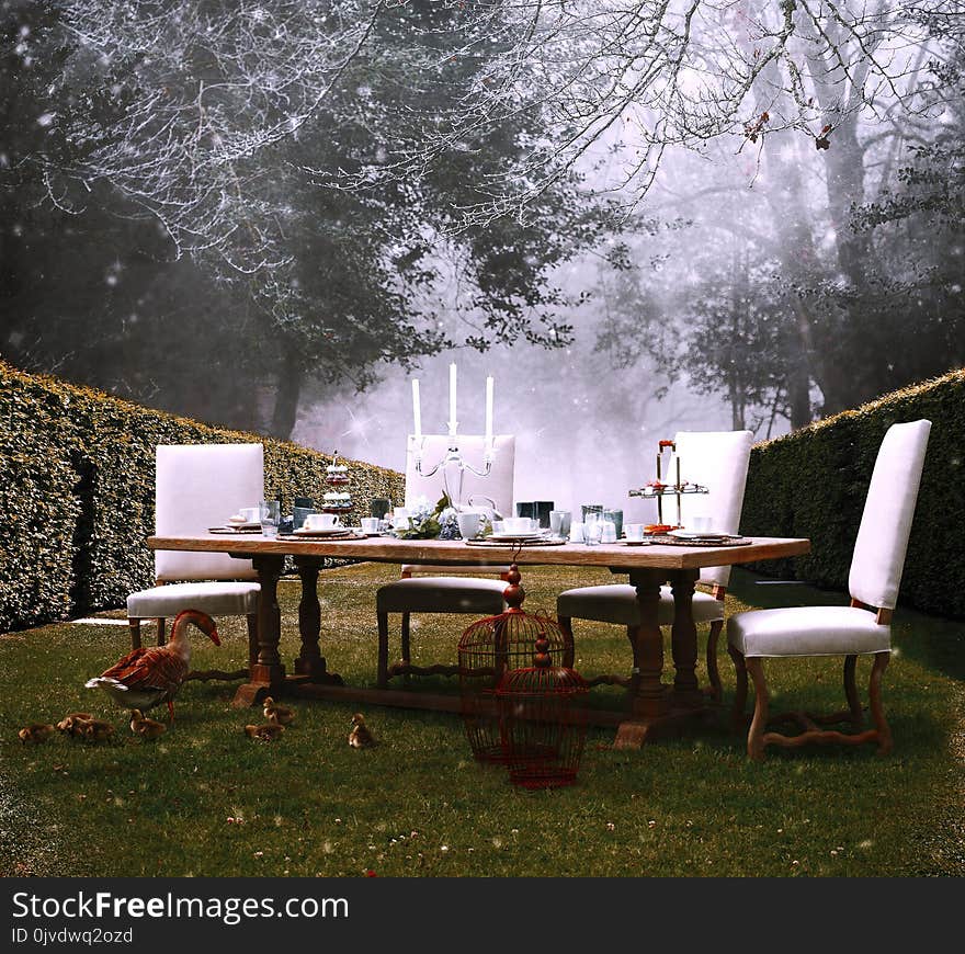 Table, Tree, Furniture, Home