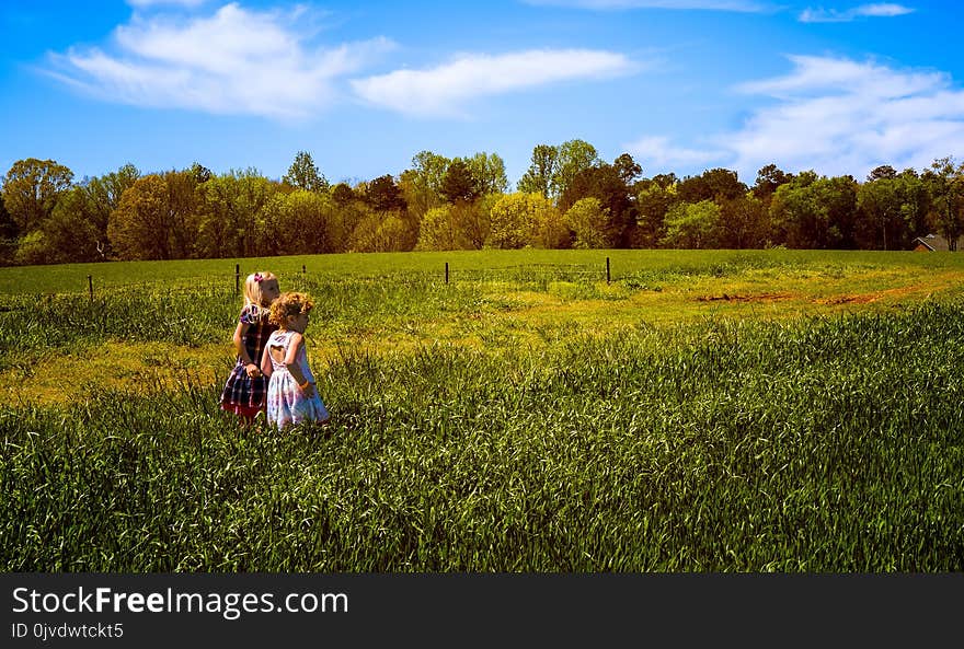 Grassland, Field, Sky, Prairie