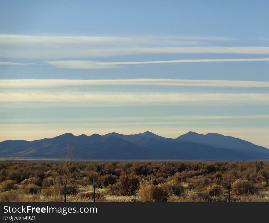 Sky, Ecosystem, Horizon, Grassland