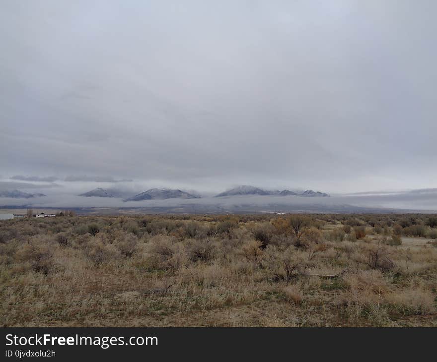 Ecosystem, Sky, Steppe, Highland