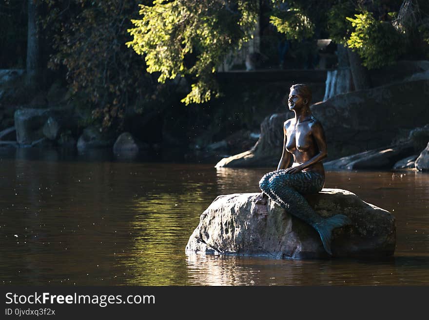 Water, Nature, Body Of Water, Waterway