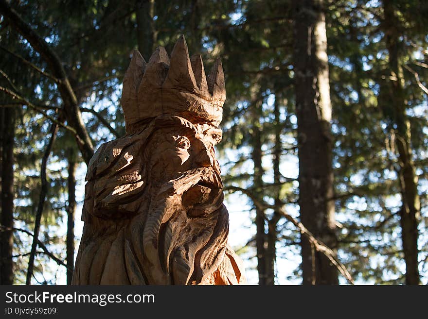 Tree, Woody Plant, Statue, Sculpture