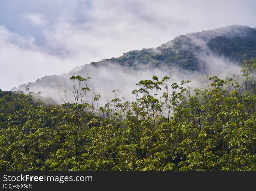 Vegetation, Nature, Mountainous Landforms, Wilderness