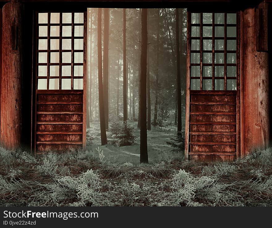 Wall, Window, Wood, Tree