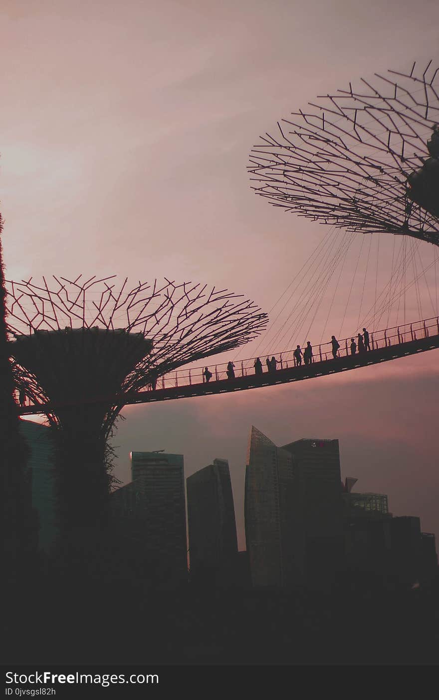 Silhouette of People on Bridge at Sunset