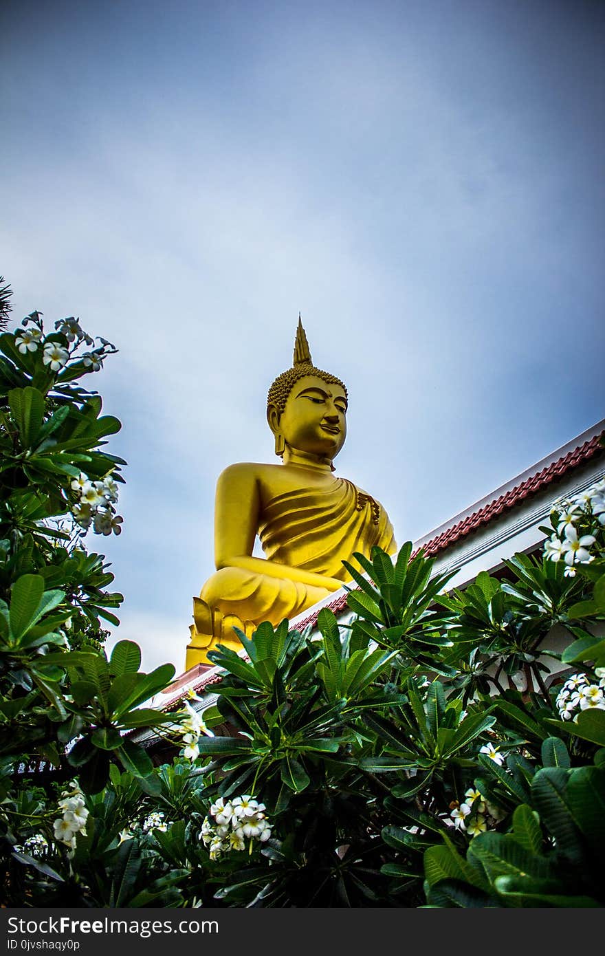 Gautama Buddha Statue Near Green Leaves