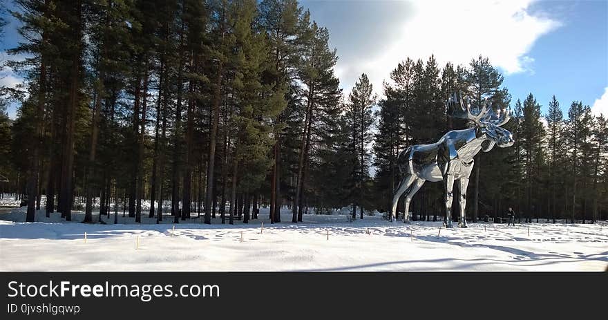 Silver Moose Statue Near Tree