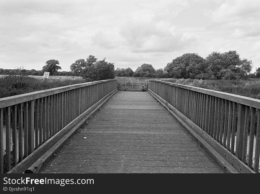 Grayscale Image of Bridge