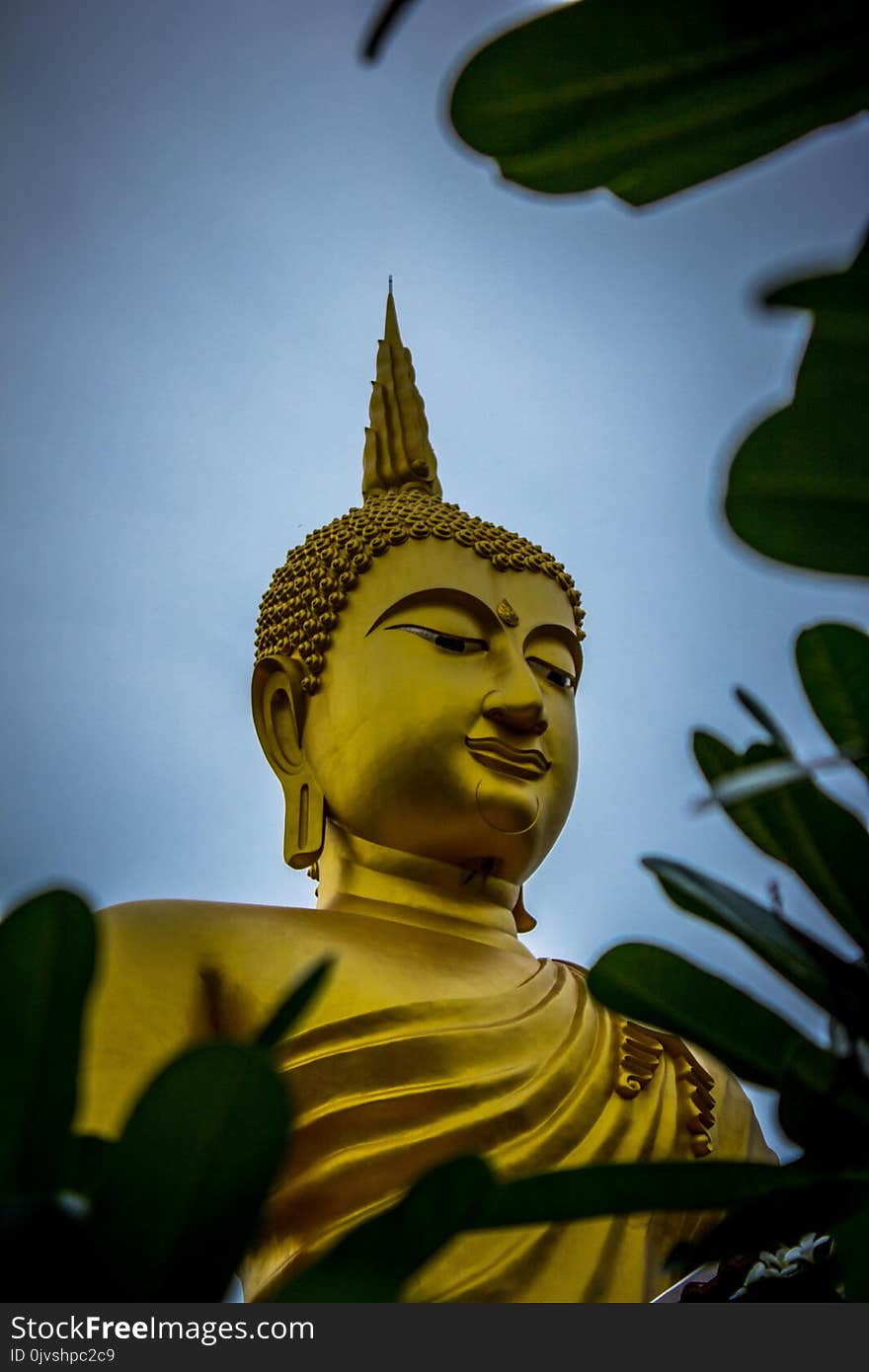 Gautama Buddha Statue