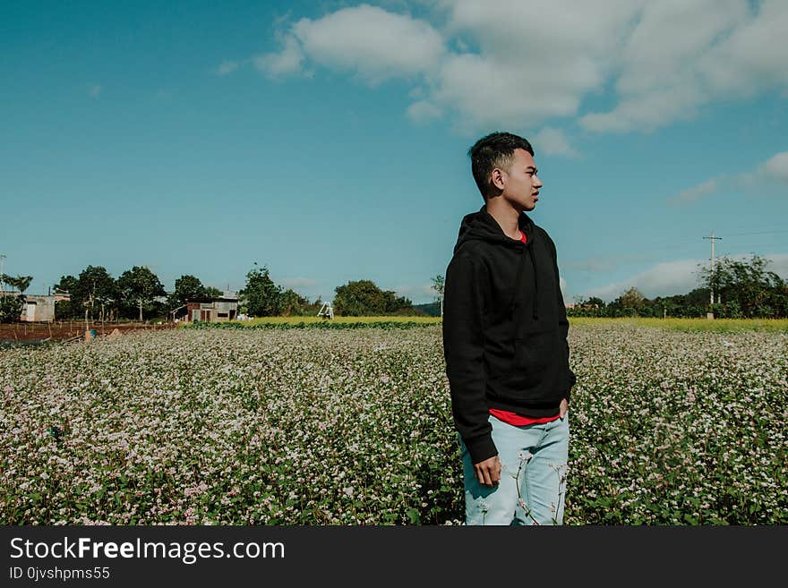 Man Wearing Pullover Hoodie Standing on Flower Field