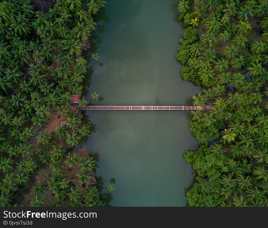 Aerial Photography of Brown Wooden Foot Bridge Connecting Two Forests