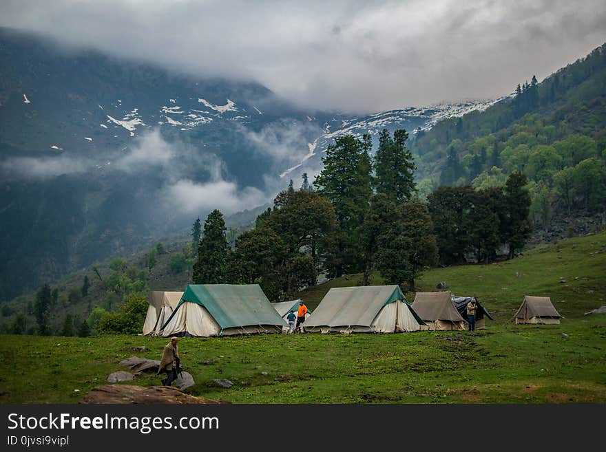 Green and White Tents Near Trees