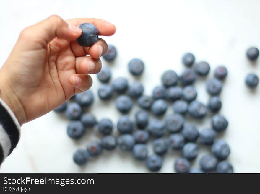 Person Holding Blueberry