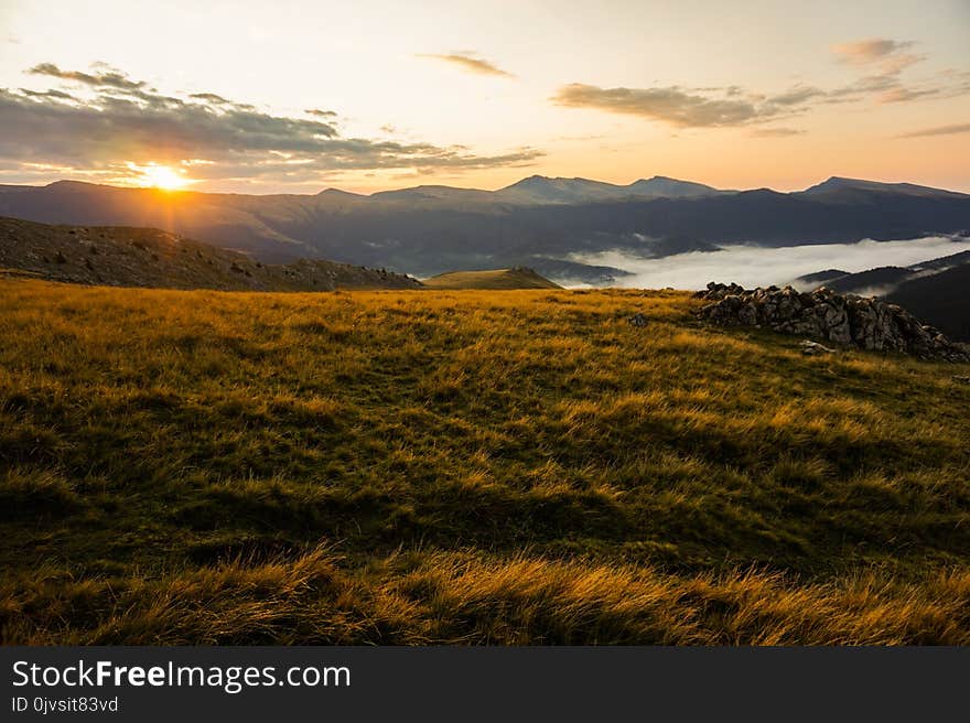 Brown Grass Field during Golden Hour