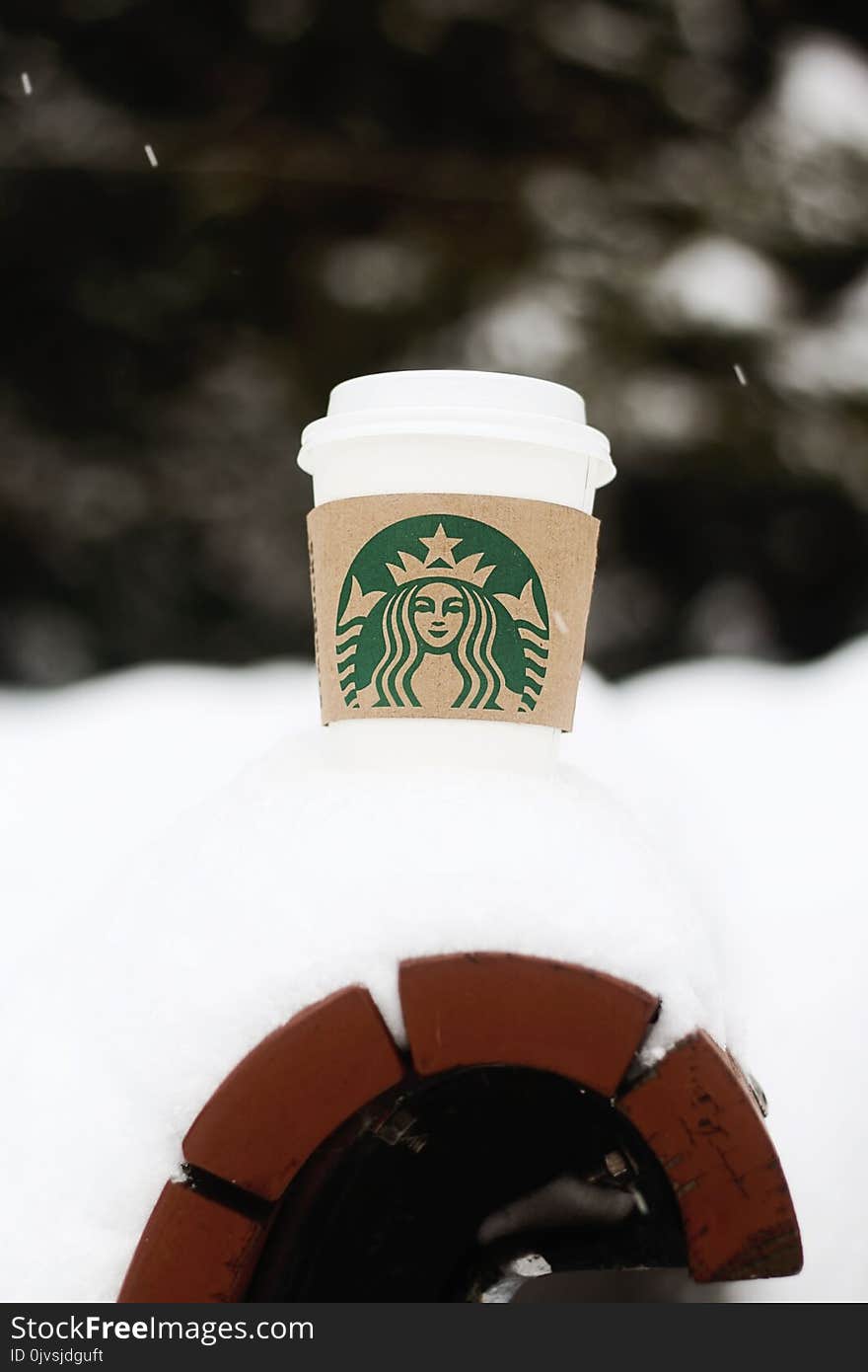 Starbucks Hot Coffee Cup