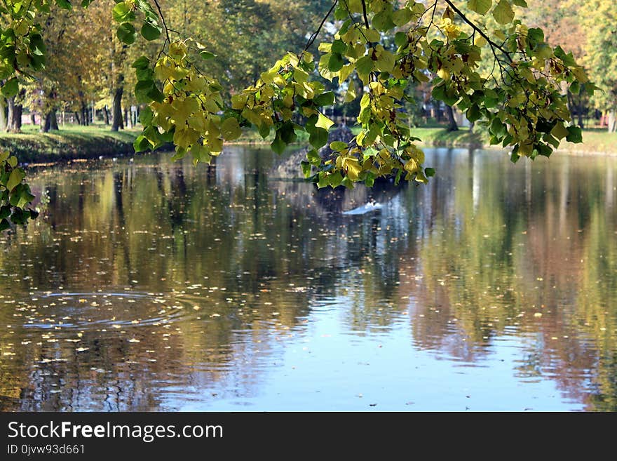 Reflection, Water, Waterway, Nature