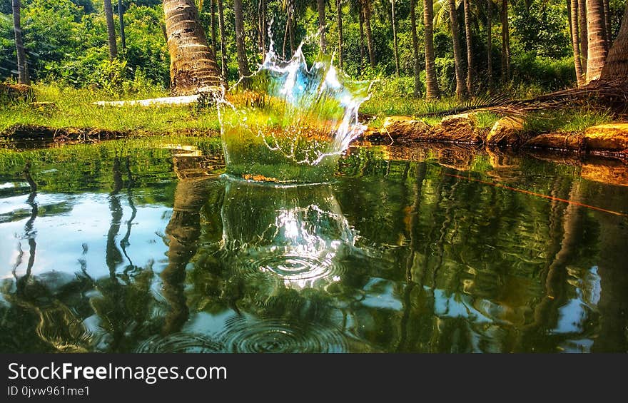 Reflection, Nature, Water, Body Of Water