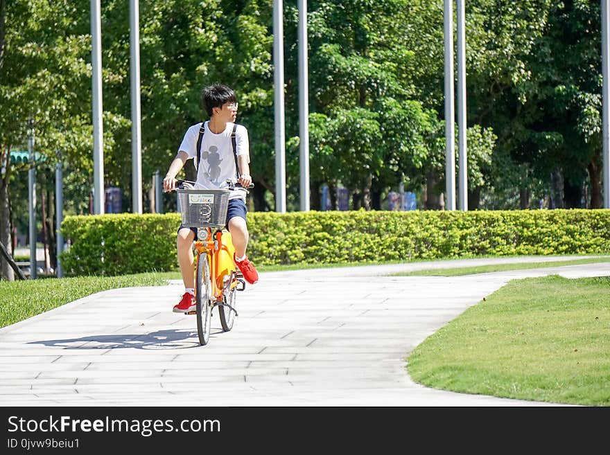 Land Vehicle, Bicycle, Road Bicycle, Lane