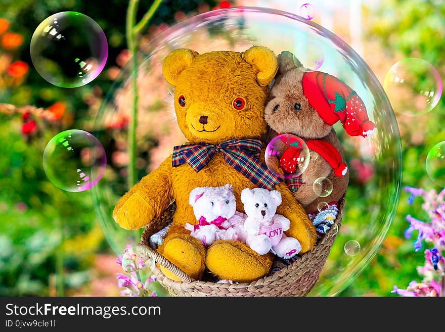 Teddy Bear, Stuffed Toy, Toy, Flower