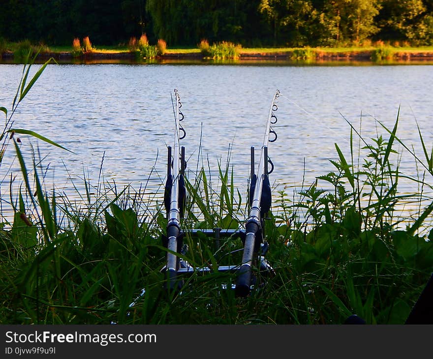 Water, Nature, Body Of Water, Reflection