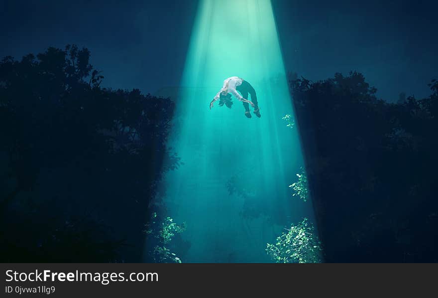 Water, Underwater, Light, Phenomenon