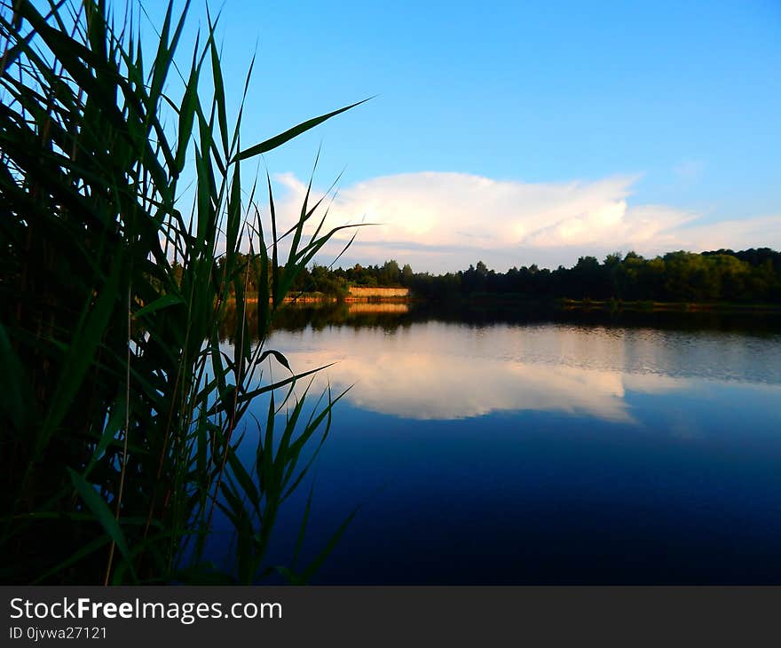 Reflection, Sky, Water, Nature