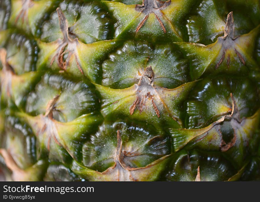 Ananas, Plant, Pineapple, Fruit