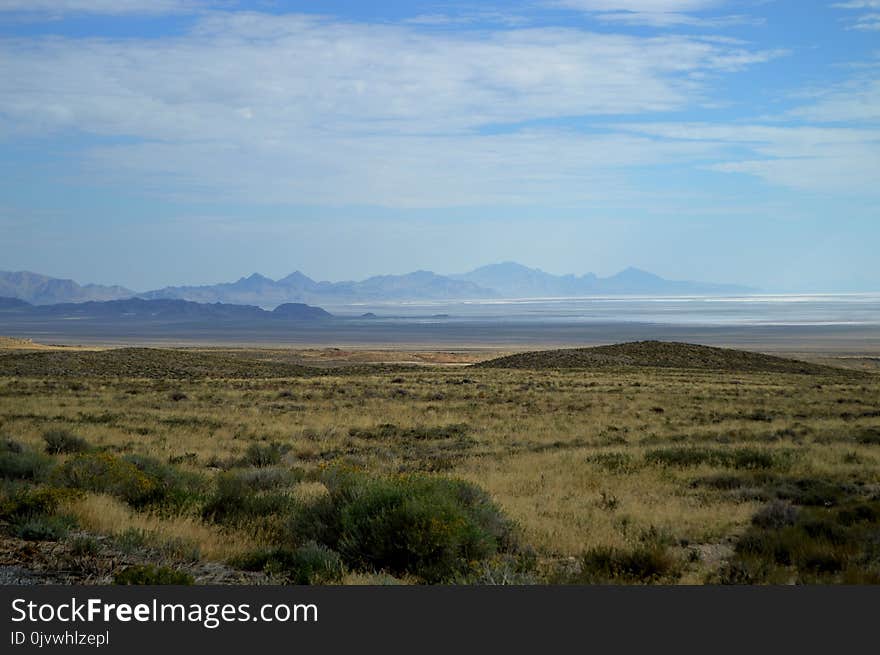 Ecosystem, Grassland, Plain, Sky