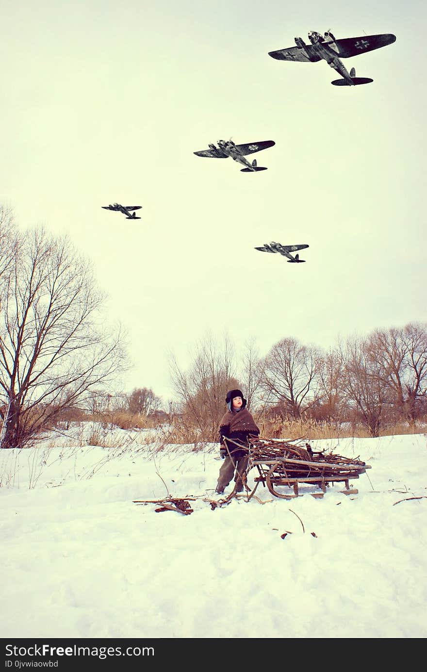 Sky, Snow, Tree, Winter