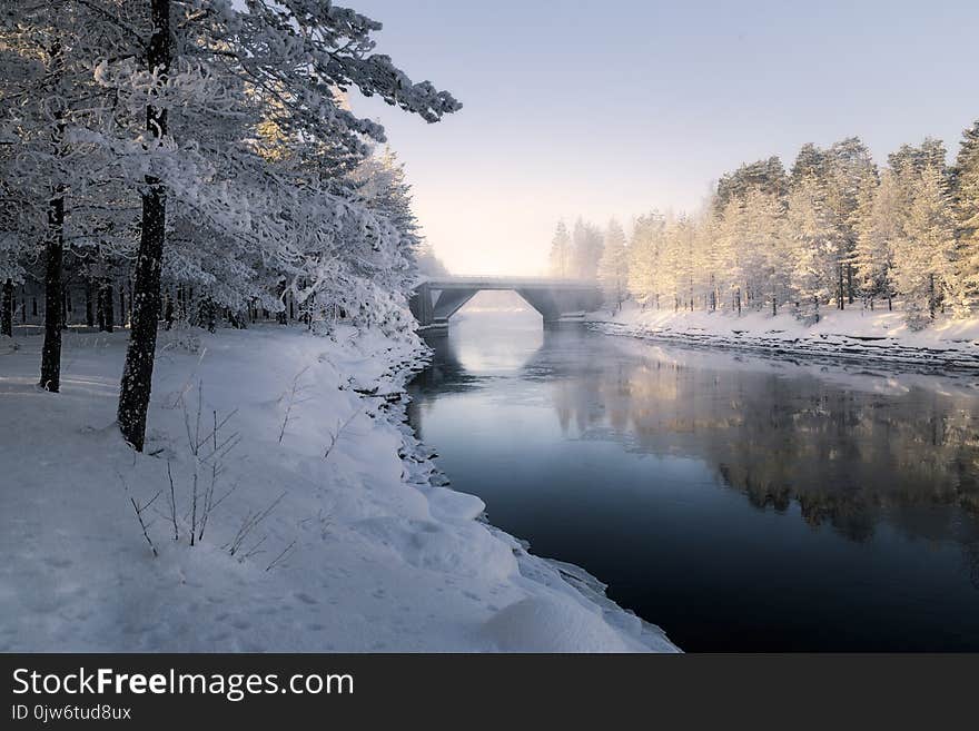 Snowy trees. Sunset view.Dark and cold water. Snowy trees. Sunset view.Dark and cold water.