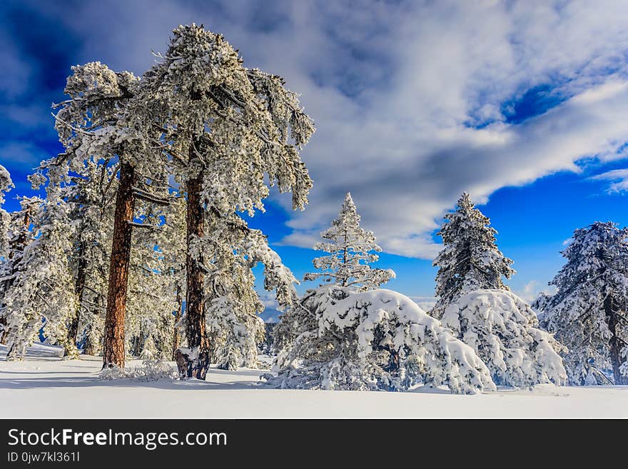 Troodos is the largest mountain range in Cyprus