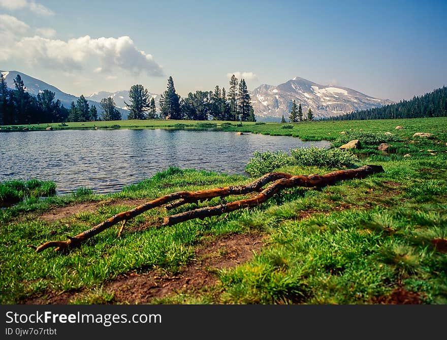 Yosemite National Park With Lake In California