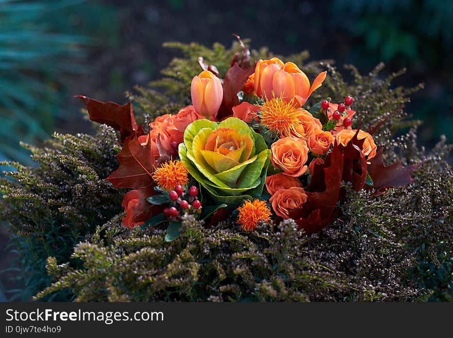 Festive bouquet of multicolored flowers.