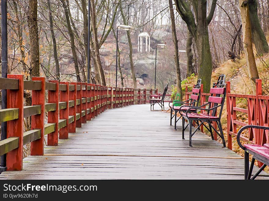 Wooden Path - Hinged Bridge With Wet Boards, Wrought Iron Benches And Lanterns In The Park On A Hillside Overlooking The White Rot