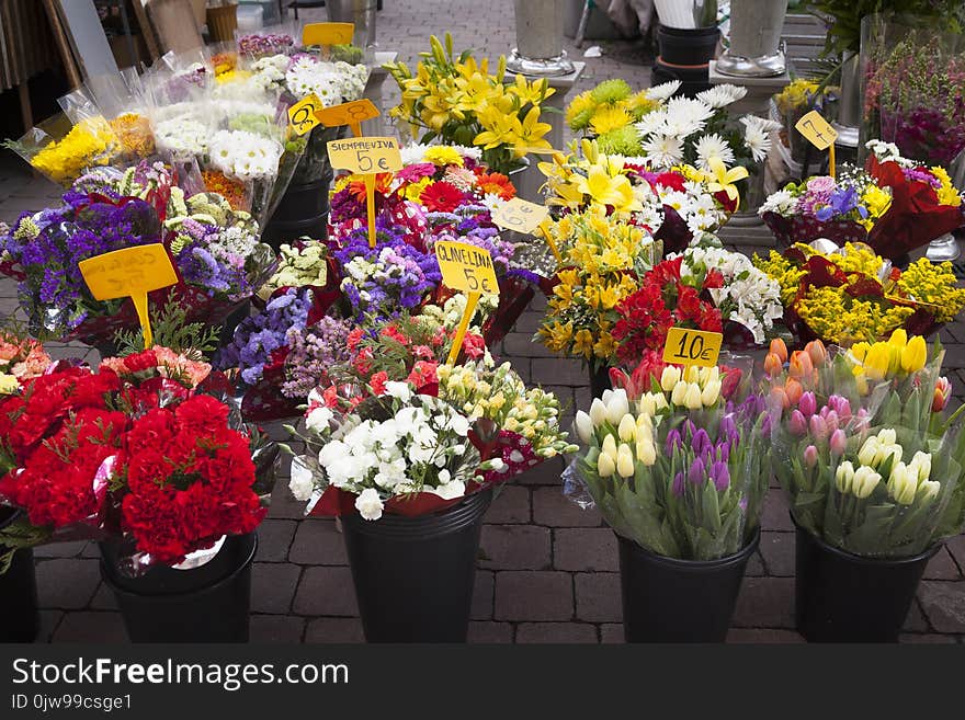 Flowers shop concept outdoors with variety