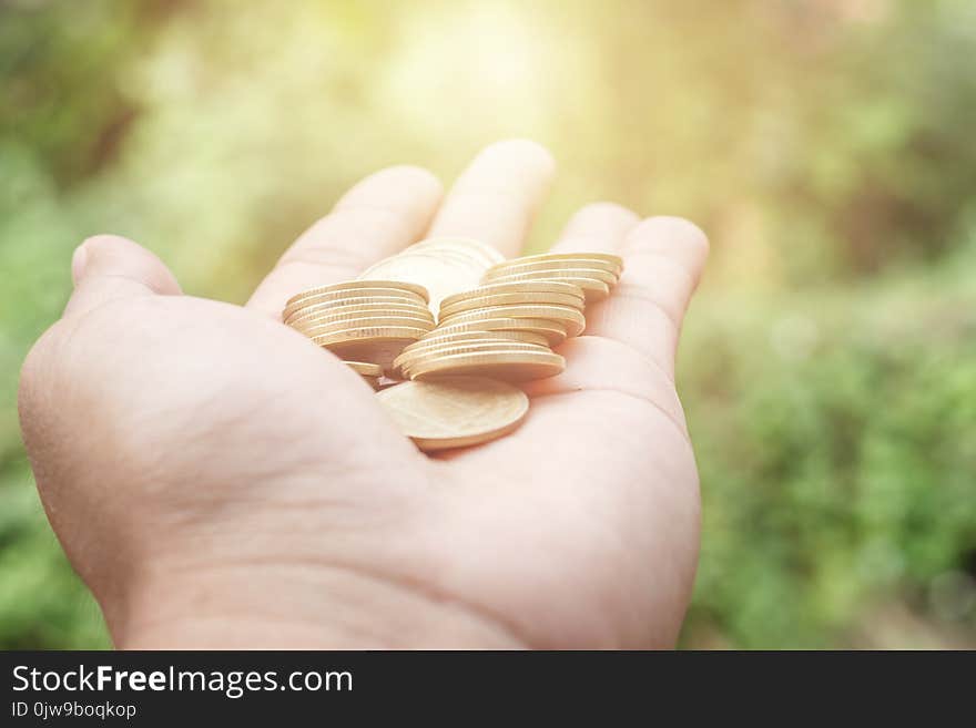 Coins for saving and blurry background,Economic concept for growth,Business finance,Medal of Thailand