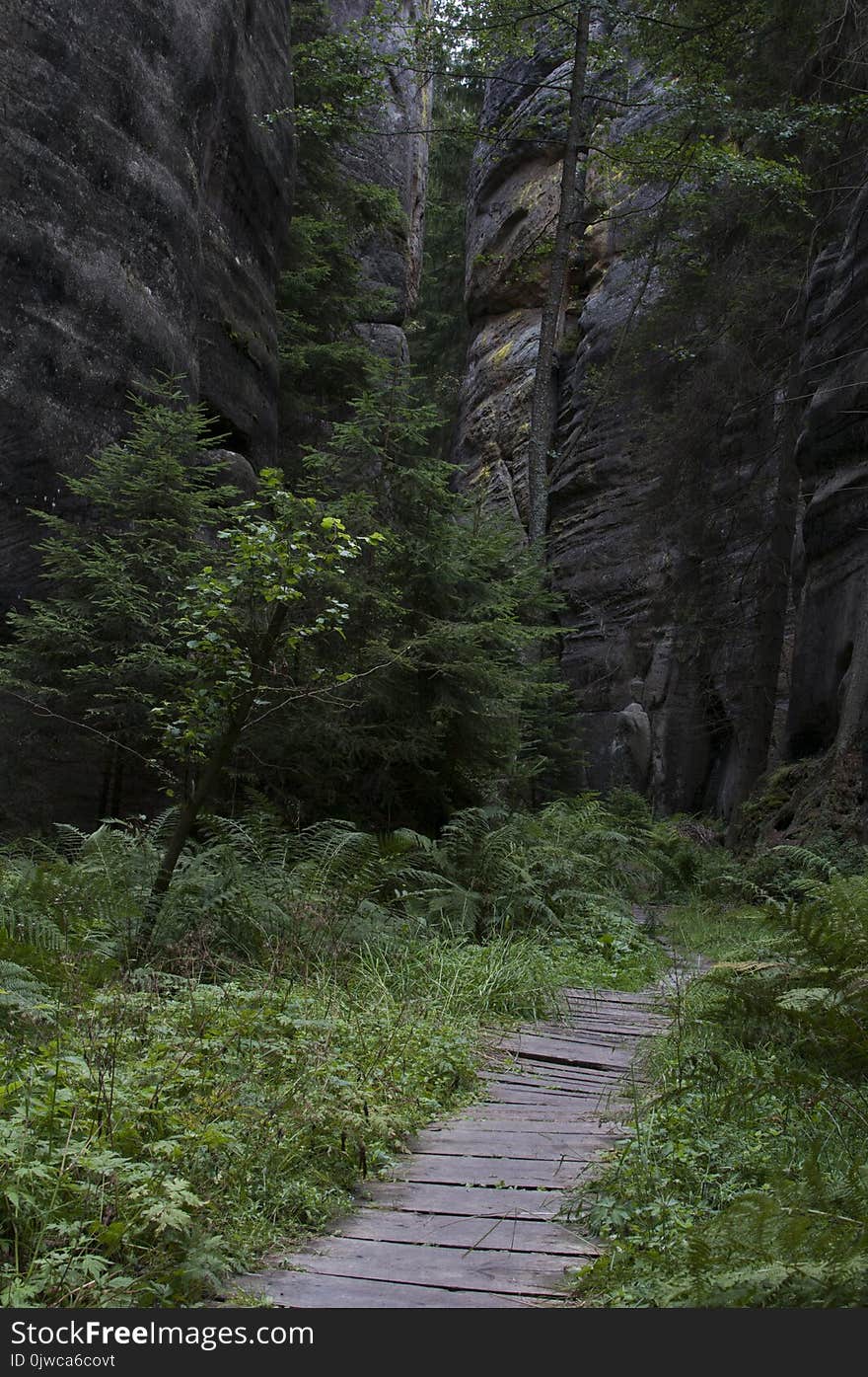 The narrow path among high rocks Adrspach Rock City during summer