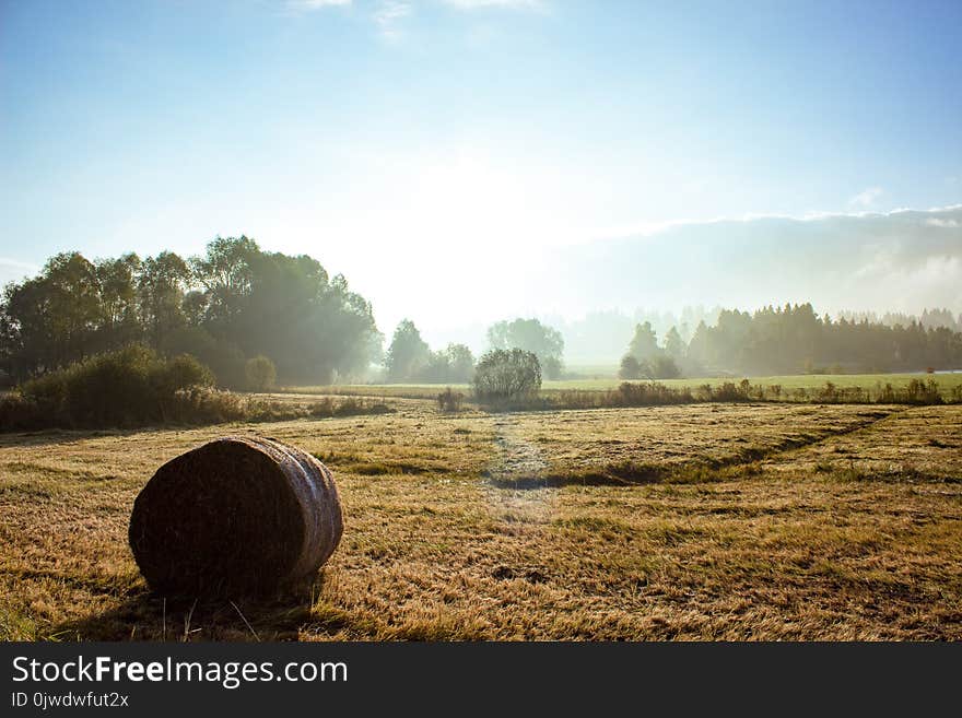 Field, Hay, Morning, Sky