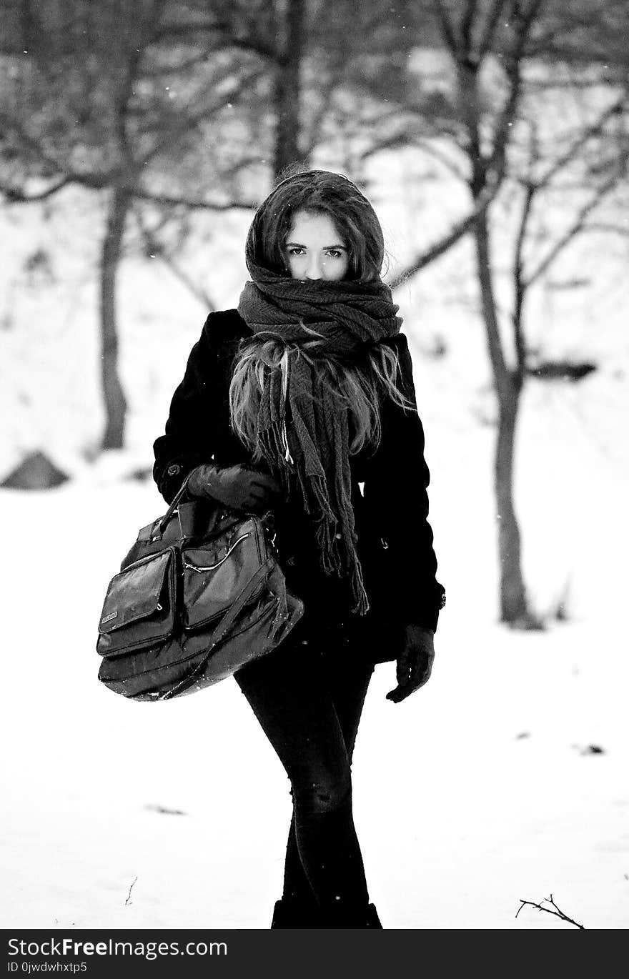 Black, Winter, Photograph, Black And White