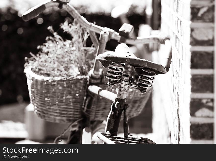 Black And White, Monochrome Photography, Monochrome, Water