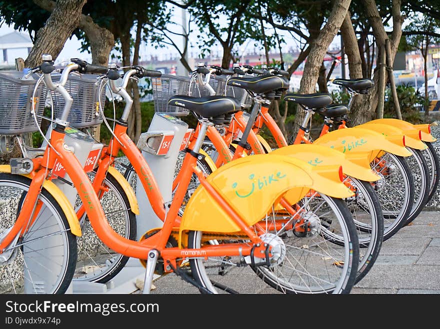 Land Vehicle, Bicycle, Road Bicycle, Yellow