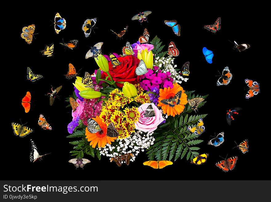 Flower, Flora, Moths And Butterflies, Art