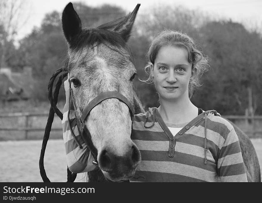 Horse, Black And White, Bridle, Mammal