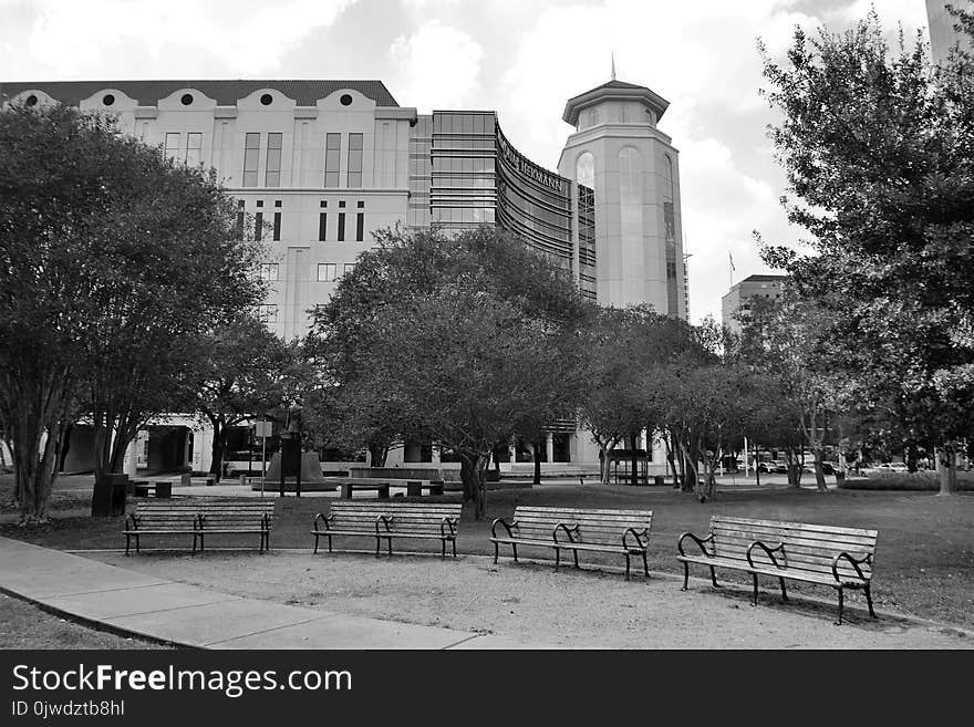 Landmark, Black And White, Tree, Monochrome Photography