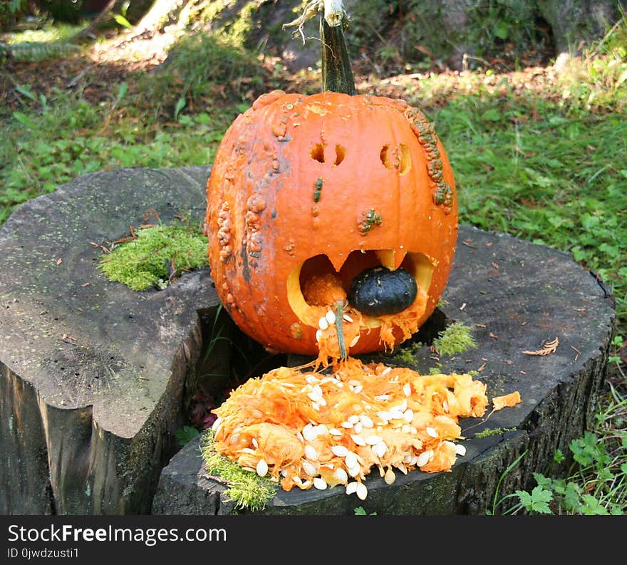 Pumpkin, Calabaza, Cucurbita, Winter Squash