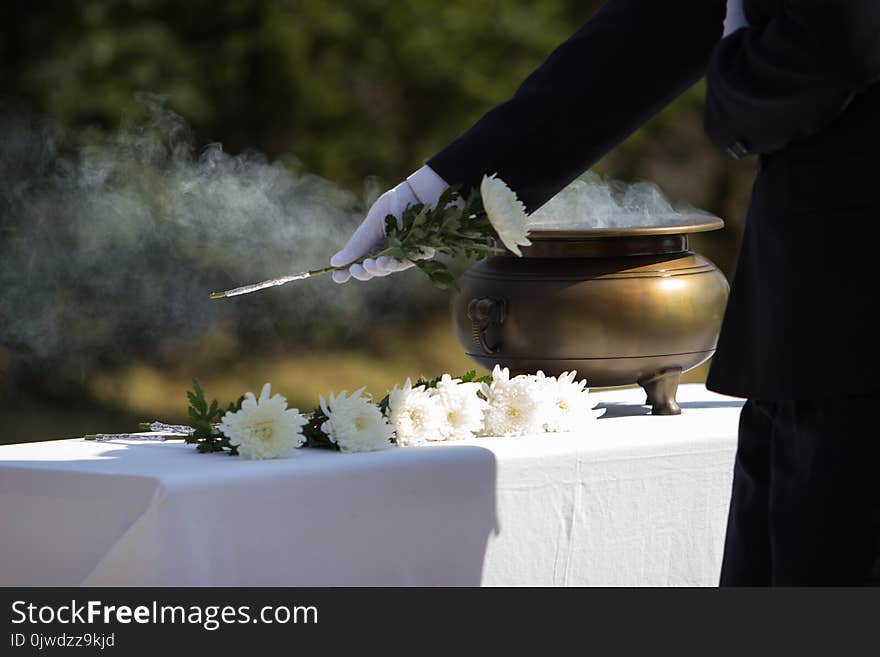 Tableware, Flower, Water, Ceremony