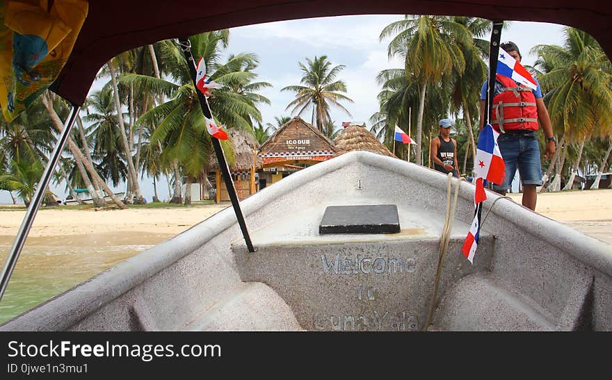 Arecales, Palm Tree, Vacation, Leisure